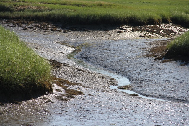 Low tide at the marsh