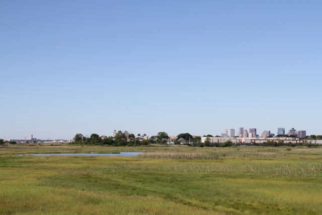 Belle Island Salt Marsh