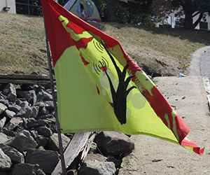 Marsh Radio Island Flag